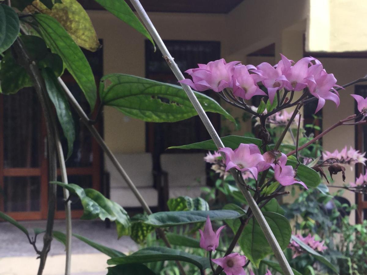 Tangkoko Sanctuary Villa Bitung Екстер'єр фото