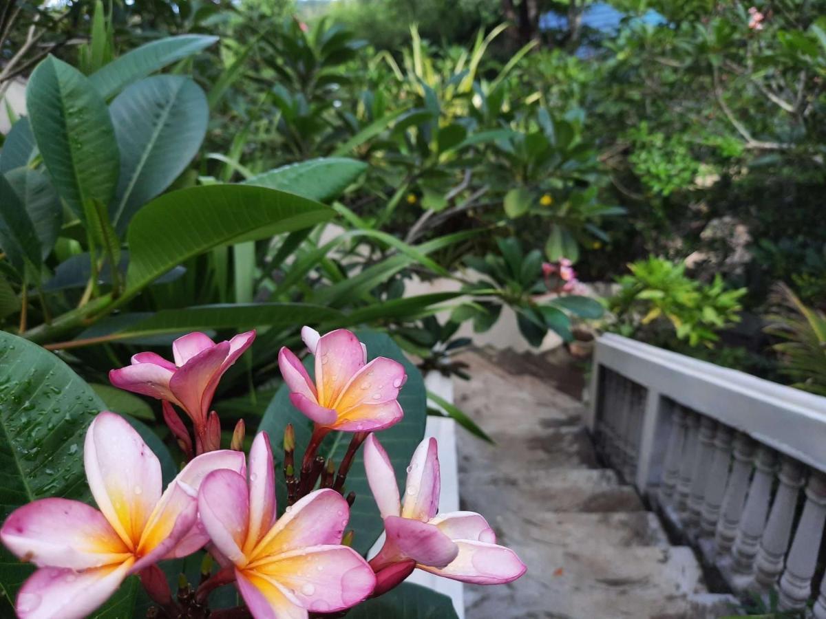 Tangkoko Sanctuary Villa Bitung Екстер'єр фото